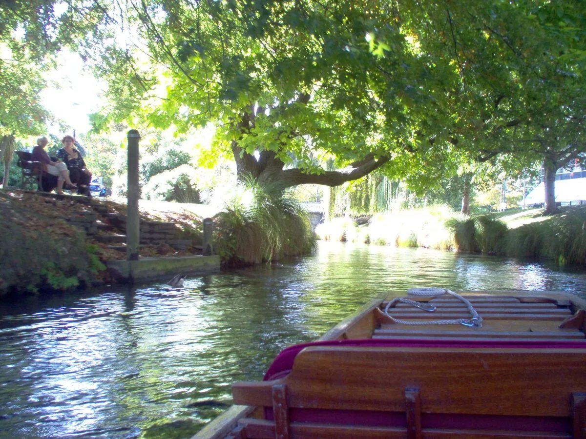Punting on the Avon River through Christchurch with willows and a wooden punt boat