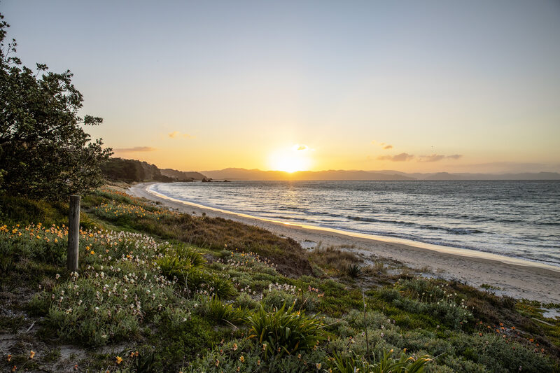 Kuaotunu beach sunset Coromandel New Zealand