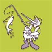 Cartoon kiwi bird fishing