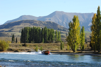 Jet boat racing along the Clutha River with autumn poplars and mountains Central Otago New Zealand