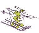 Cartoon kiwi bird skiing