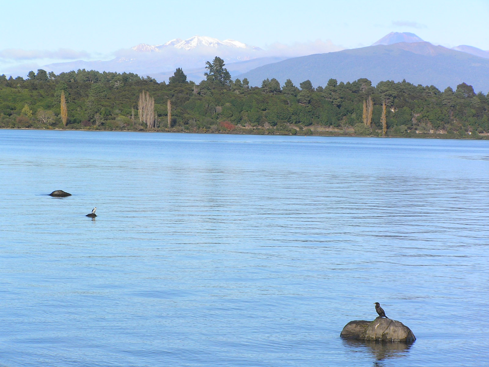 Lake Taupo with Mt Ruapehu volcanic landscape