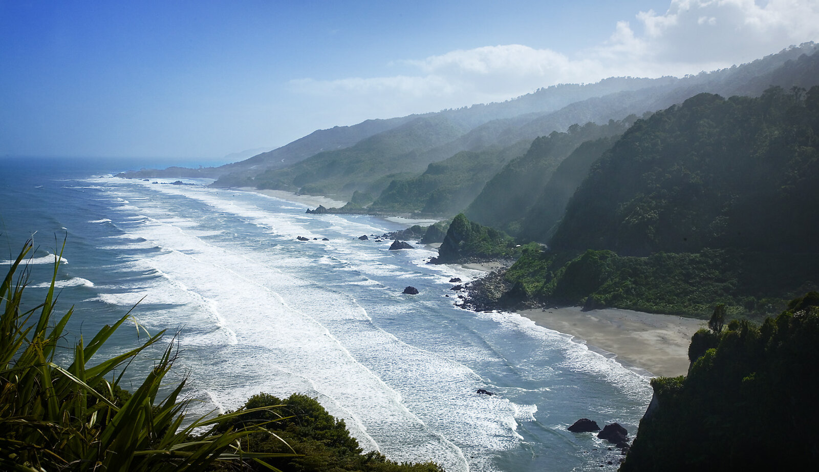 Dramatic New Zealand coastline with golden sand beach turquoise water and native bush