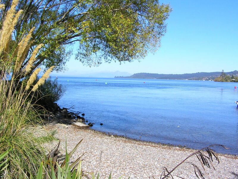 Lake Taupo shoreline with toetoe and mountains Central North Island New Zealand