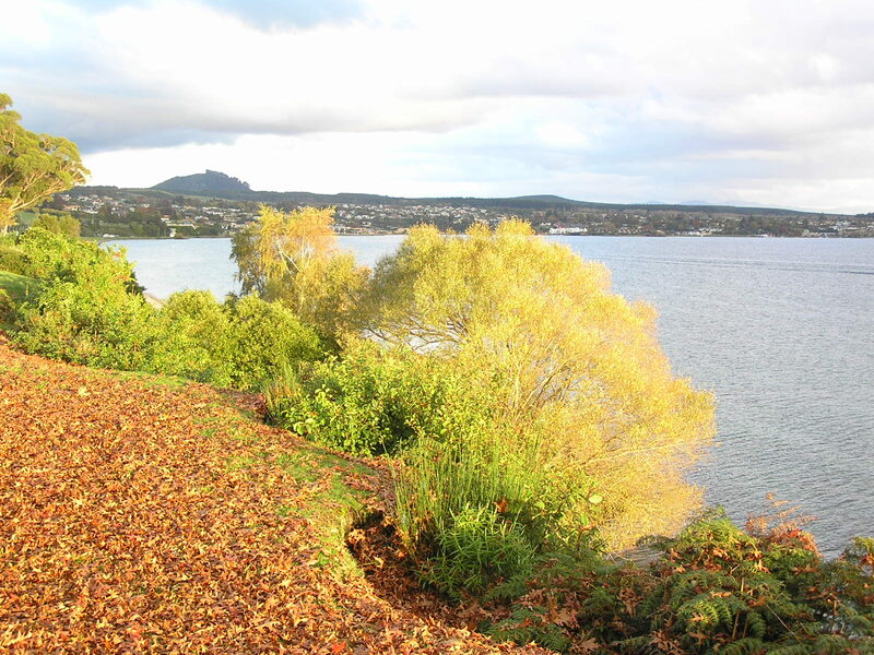 Southern end of Lake Taupo in autumn with golden trees and town New Zealand
