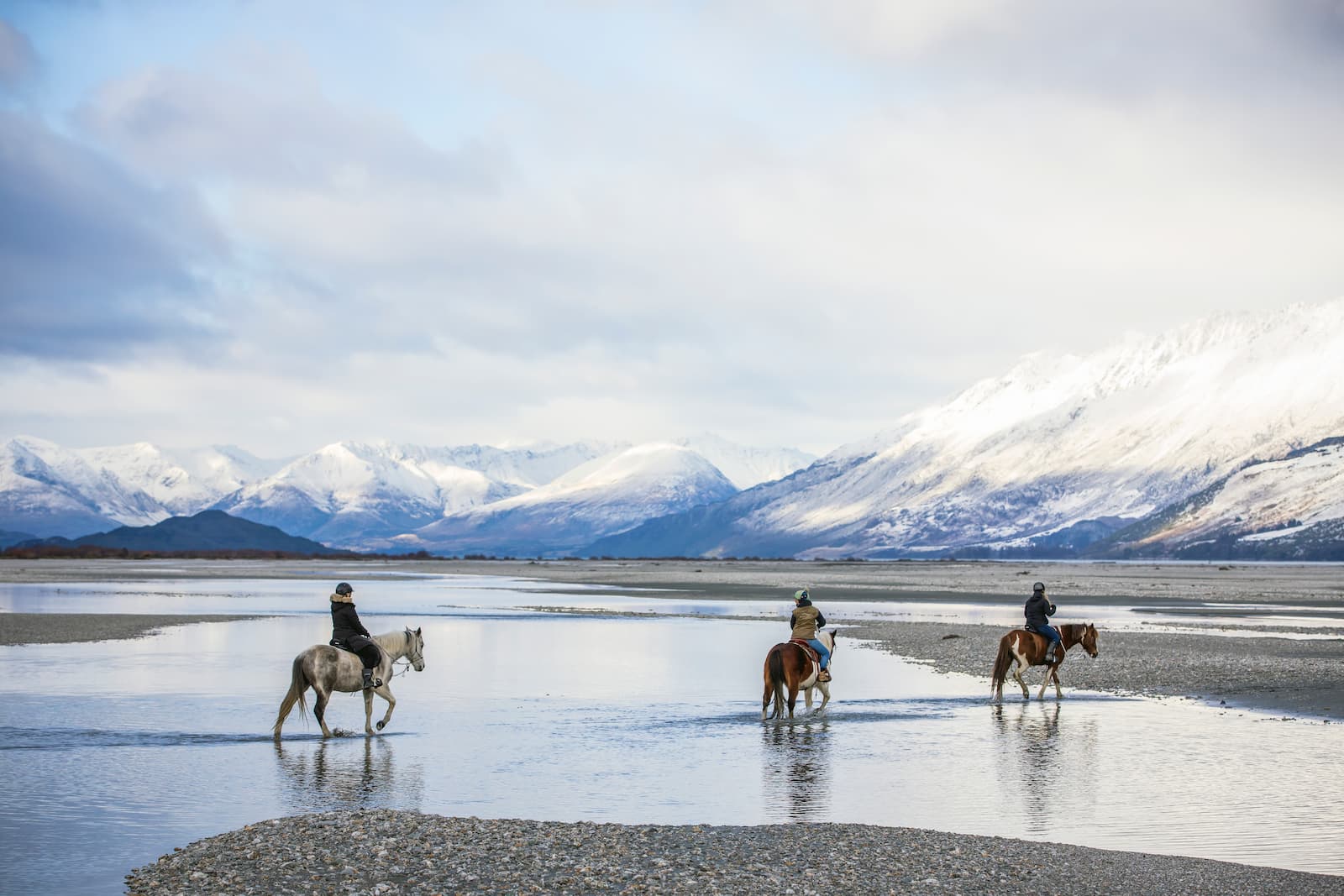 Horse trekking across a braided river at Glenorchy with snow-capped mountains