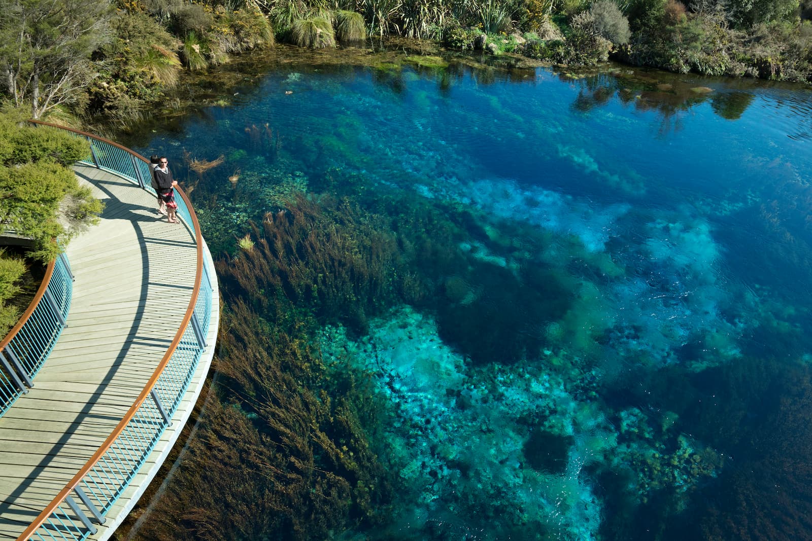 Te Waikoropupu Springs near Nelson with crystal clear blue water and boardwalk