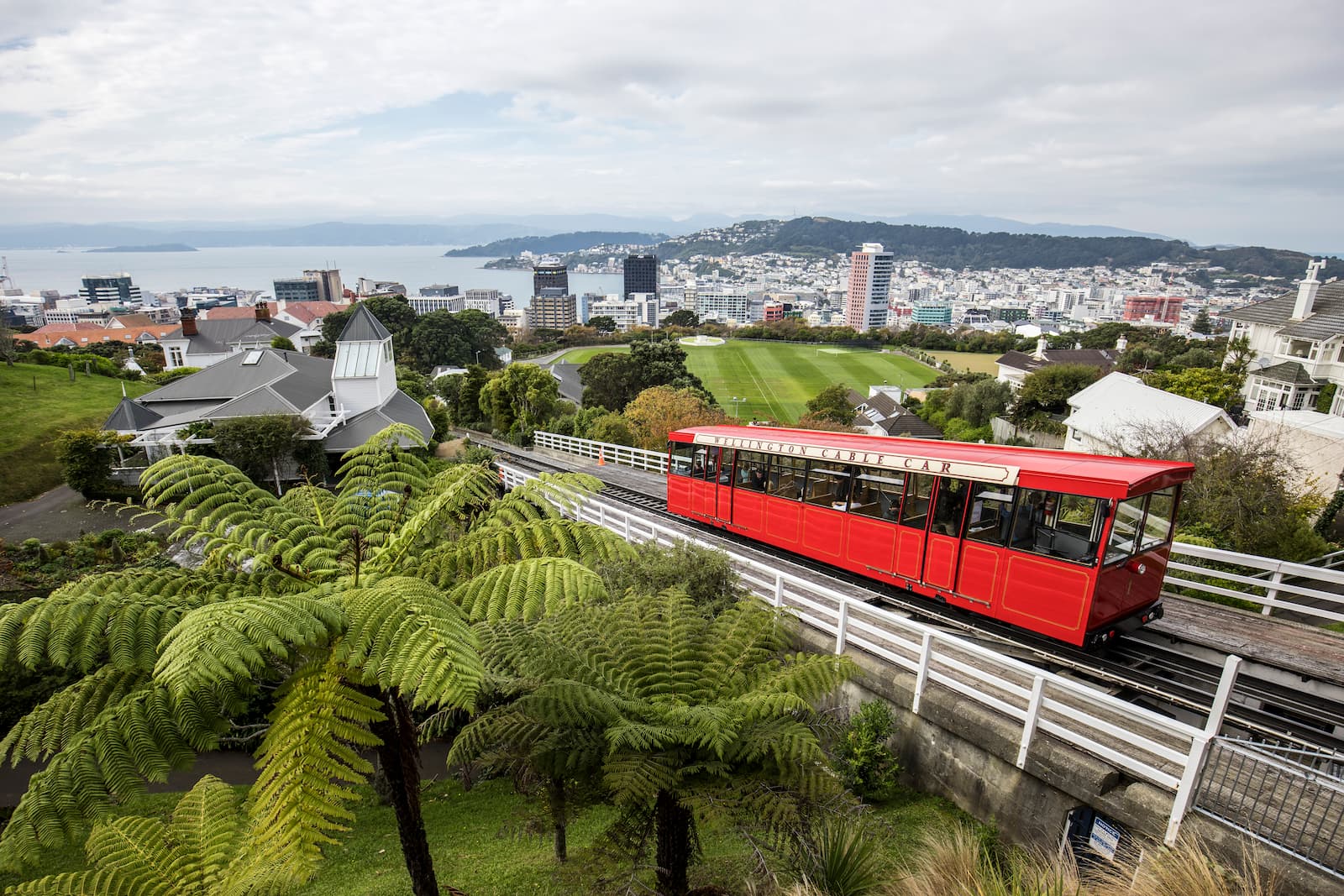 Wellington Cable Car climbing Kelburn Hill with harbour and city views