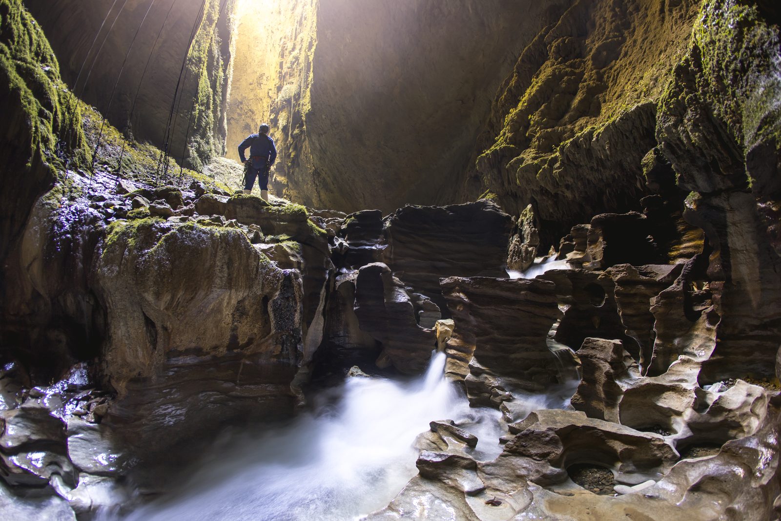 Inside the Waitomo Glowworm Caves with boat tour and glowing ceiling Waikato New Zealand