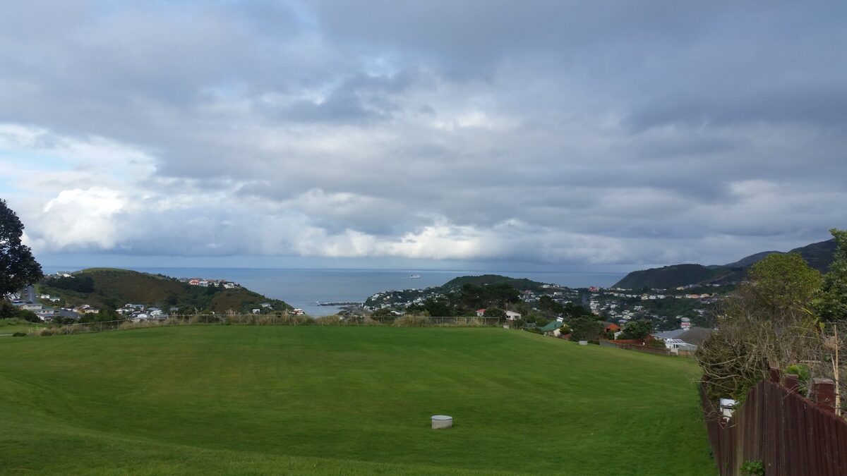 Wellington harbour viewed from hillside with colourful houses New Zealand